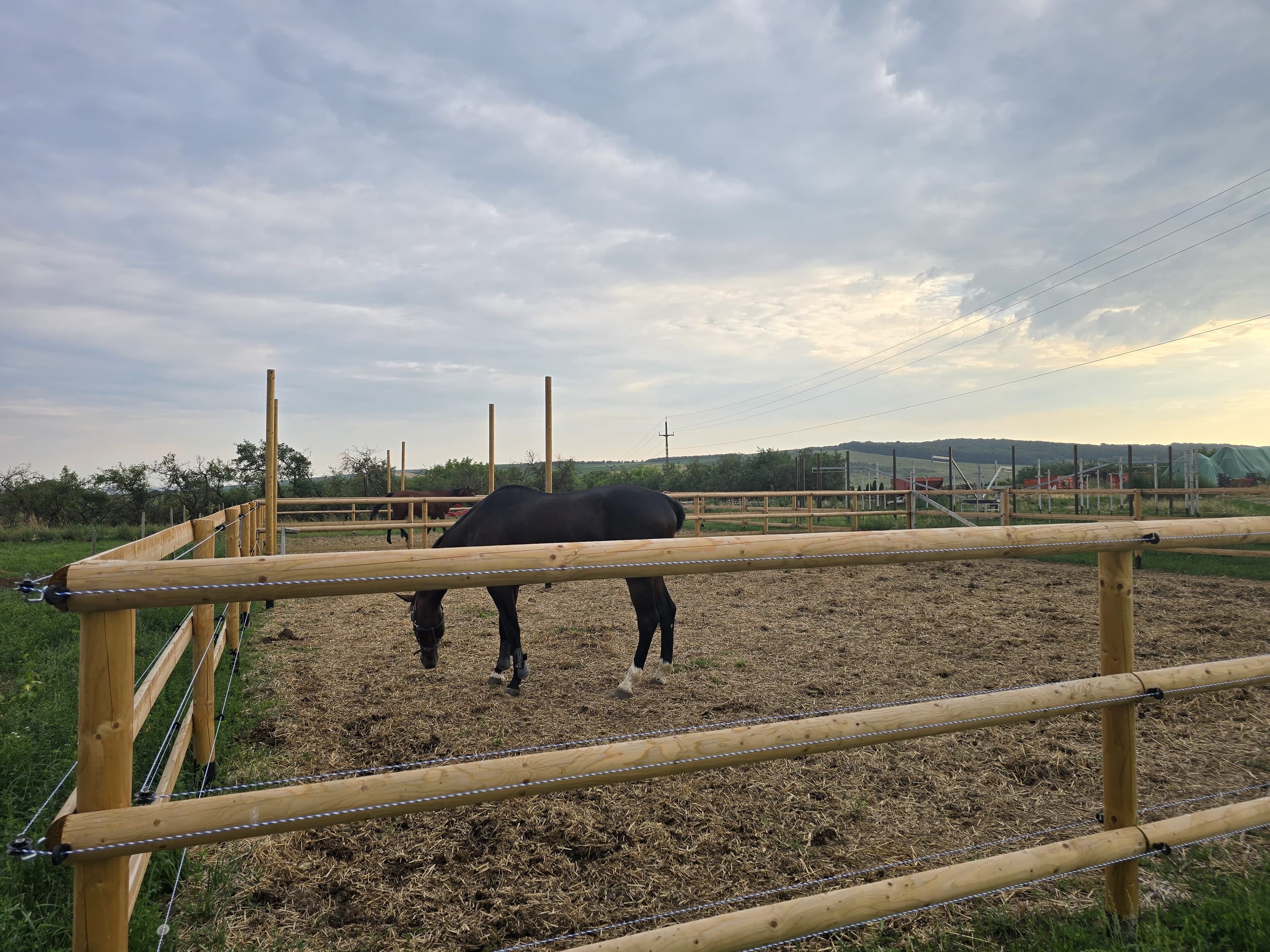 Plimbare scurtă călare pentru copii și familii