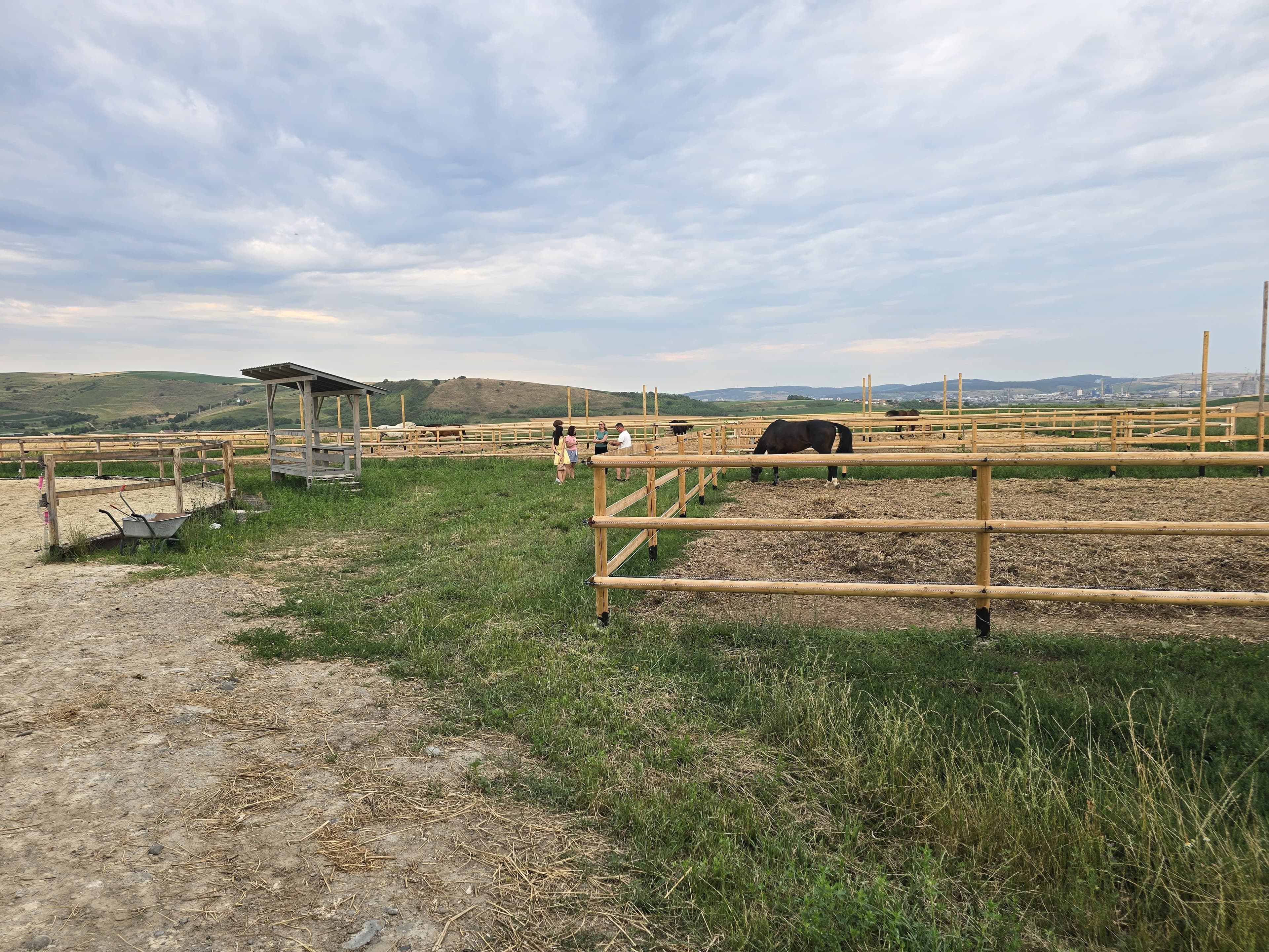 Plimbare călare în natură în județul Mureș