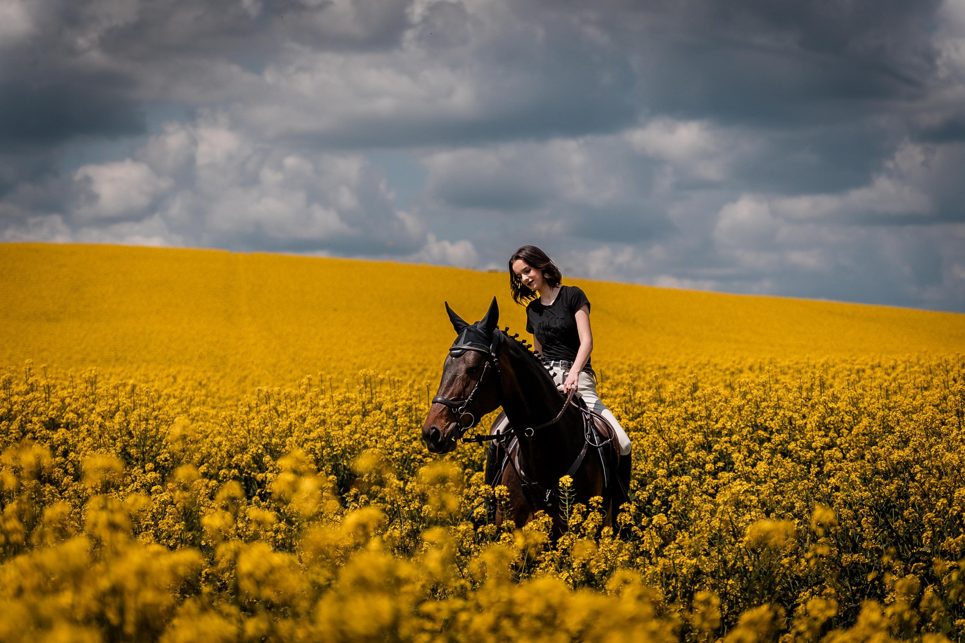 Ședință foto cu cai la centrul Biomar